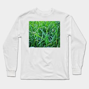 Dewy Grass Long Sleeve T-Shirt